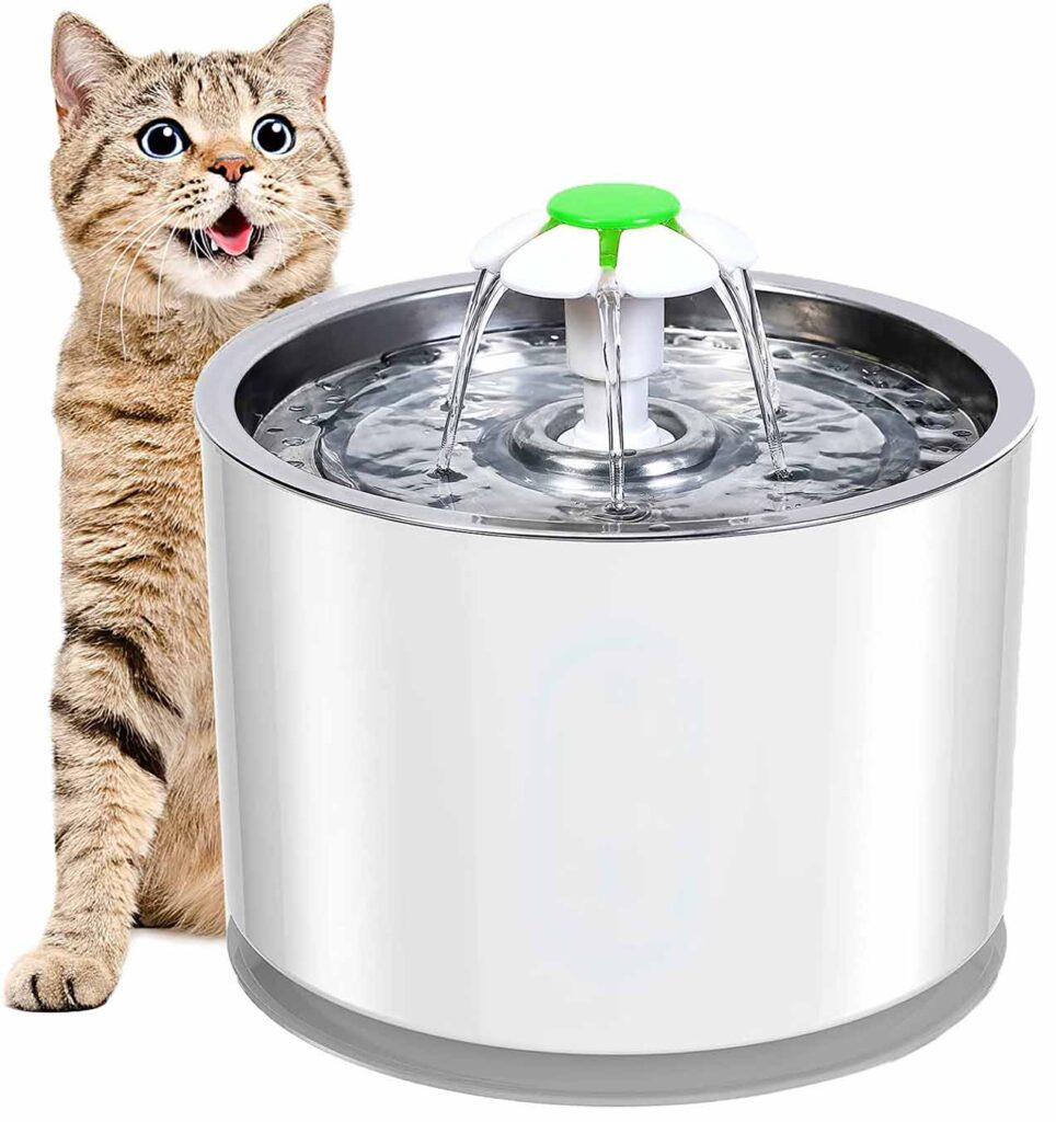 Meilleure fontaine à eau pour chat : guide d'achat